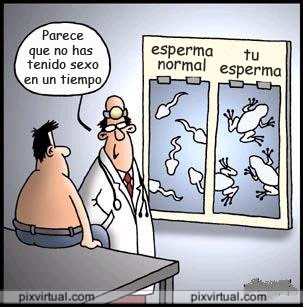 taringa taringa