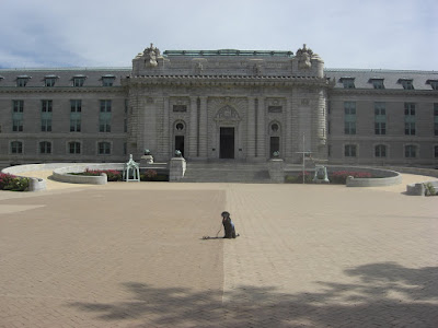 Picture of Rudy in a sit-stay by him self. He's in front of the USNA dorm building. Which is the biggest dorm building around!