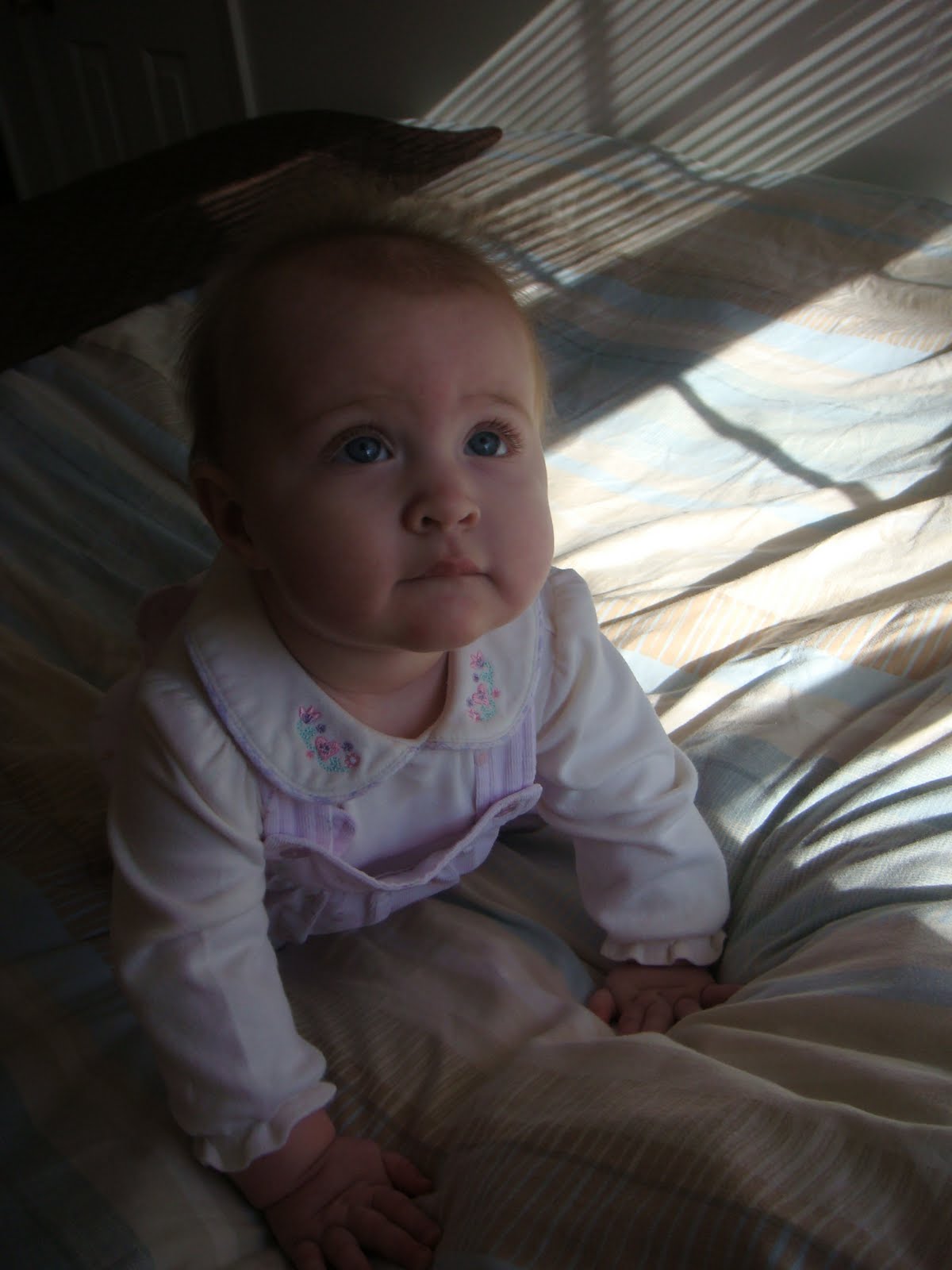 [DSC07031.JPG]