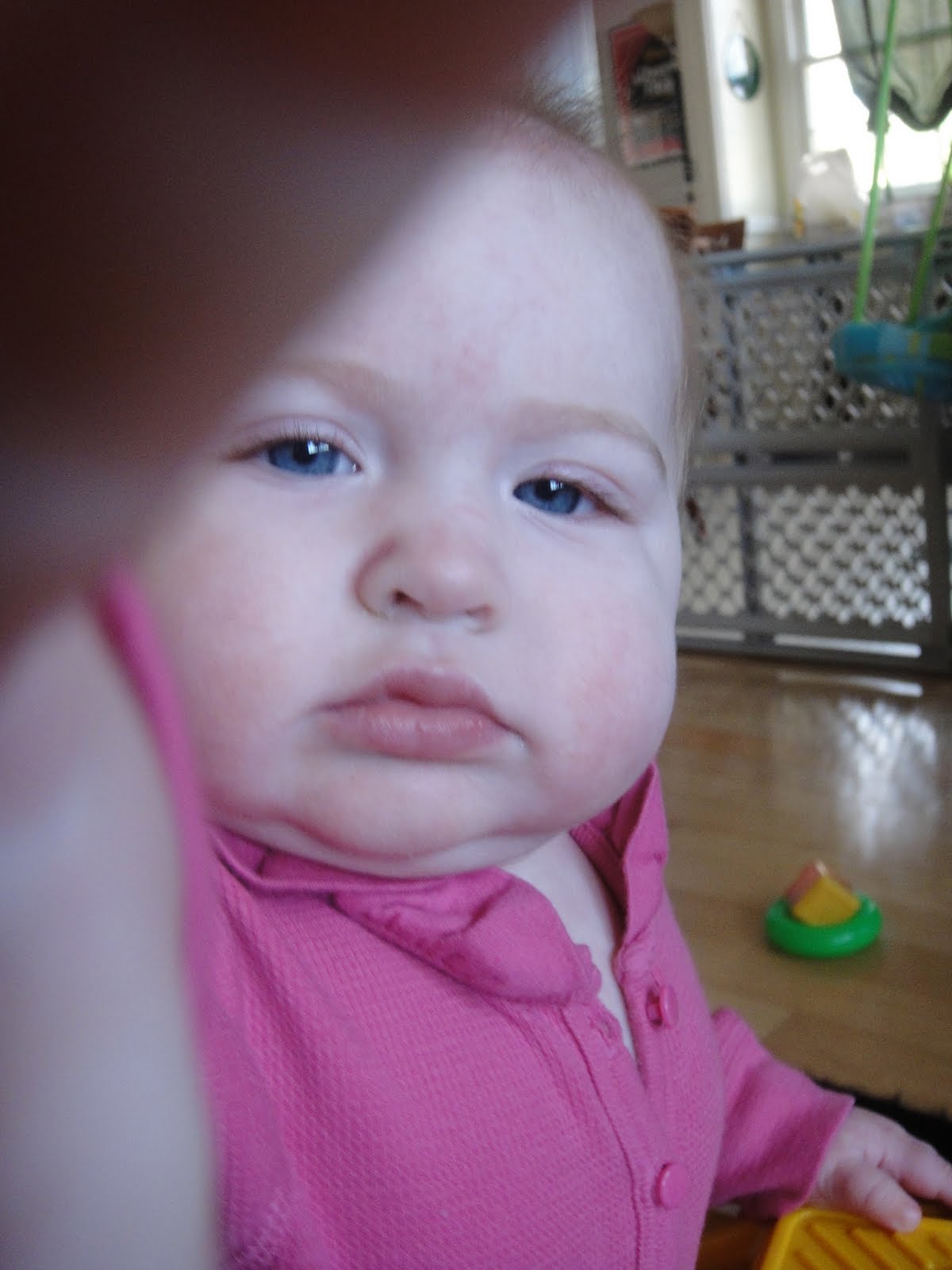 [DSC00301.JPG]