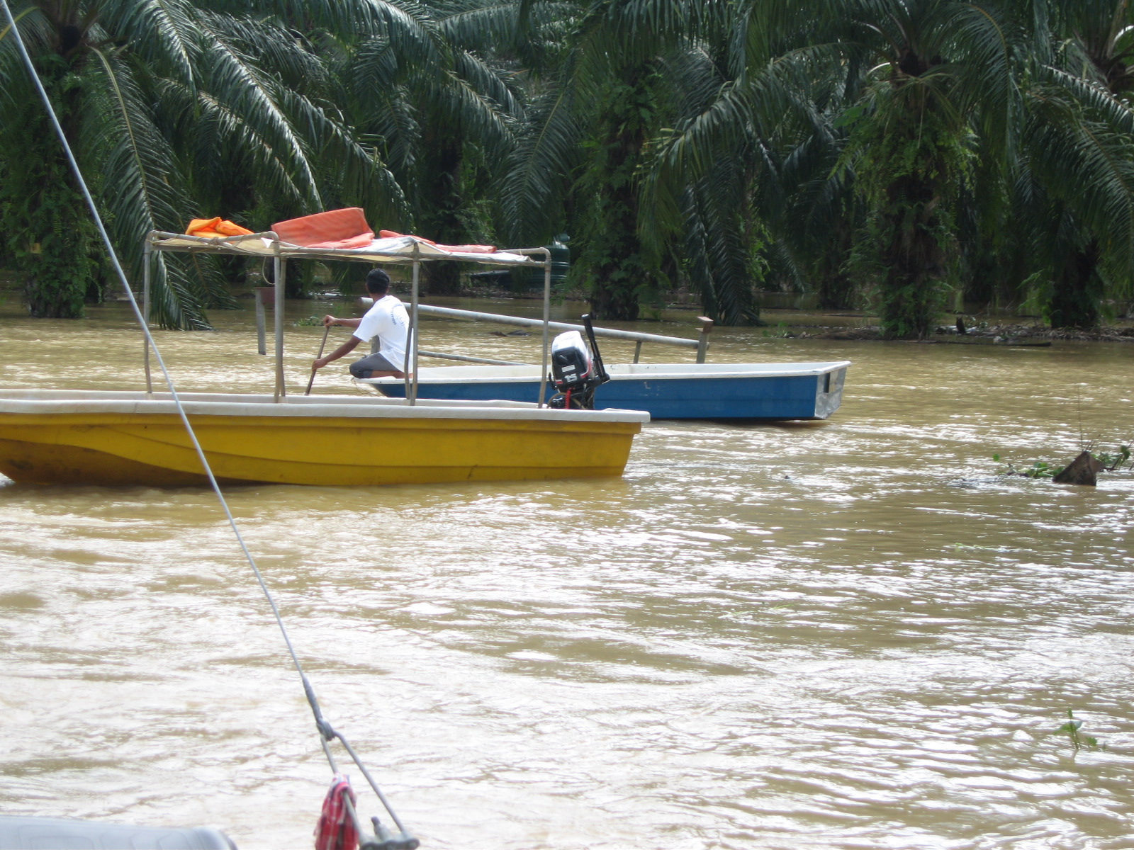 [IMG_4407.JPG]