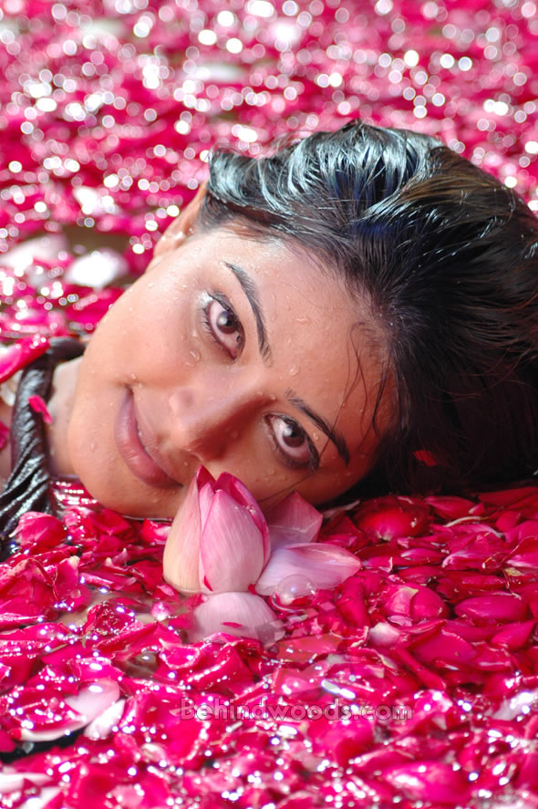 [sneha-11.jpg]