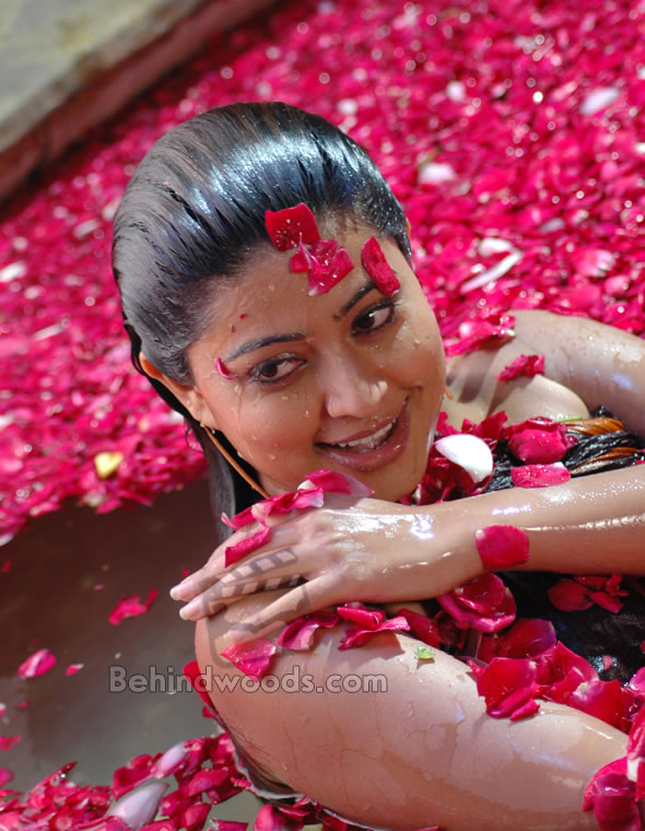 [sneha-07.jpg]