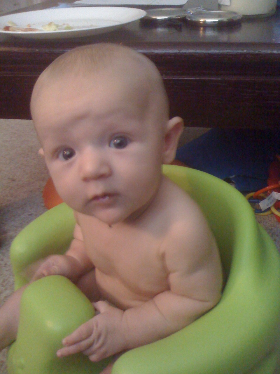 Pavlik Harness Pictures