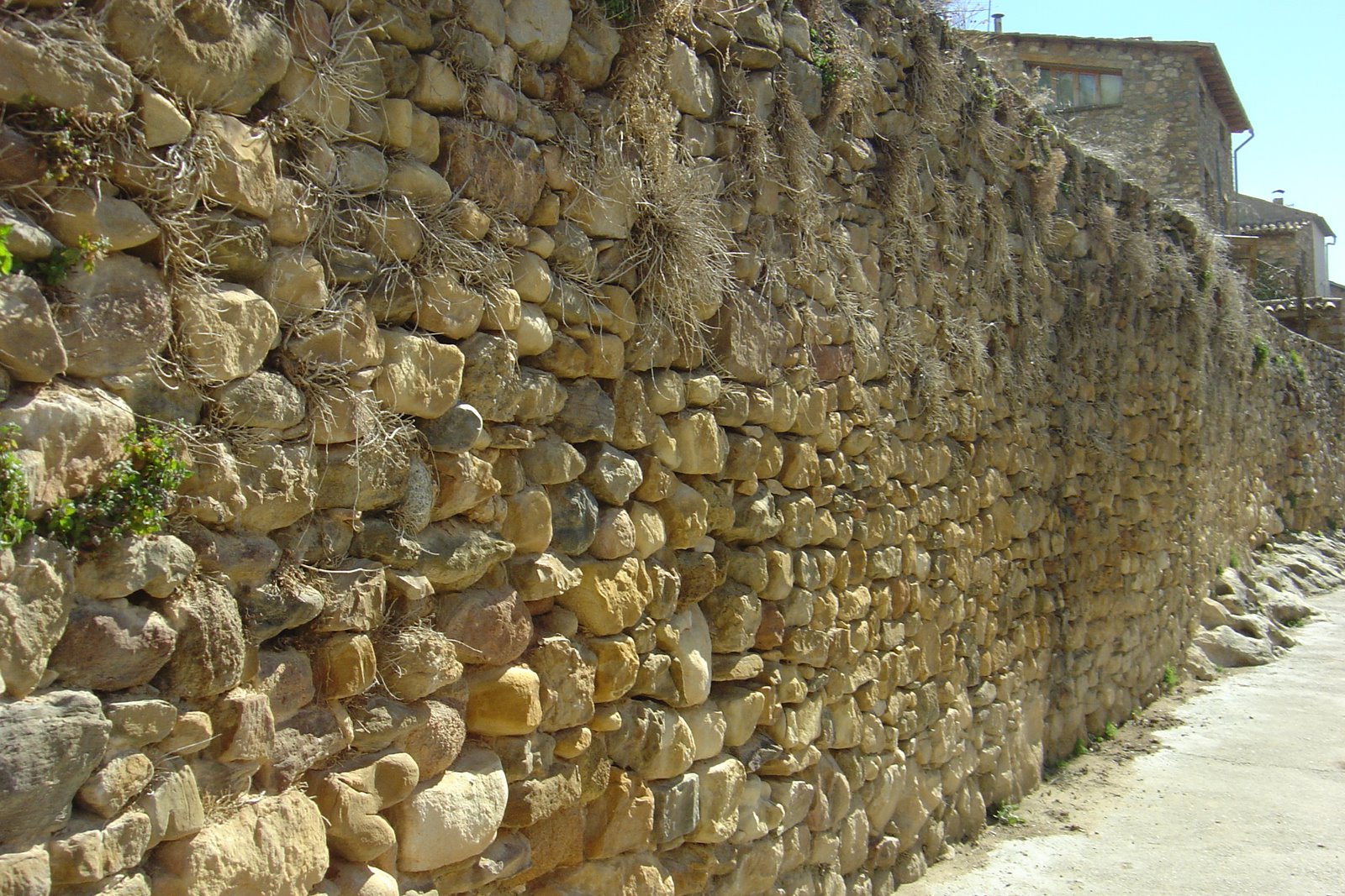 [DSC07405.JPG]