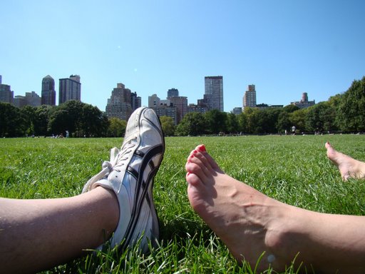 [DSC08454.JPG]