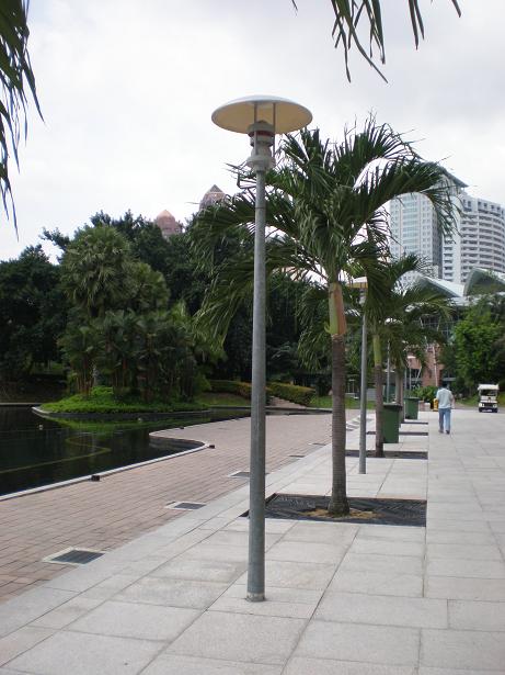 [P6060338+(m0.JPG]
