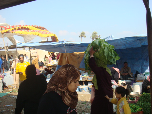 [20.01.2010+005.jpg]