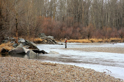 wade fishing the Bitterroot River in February