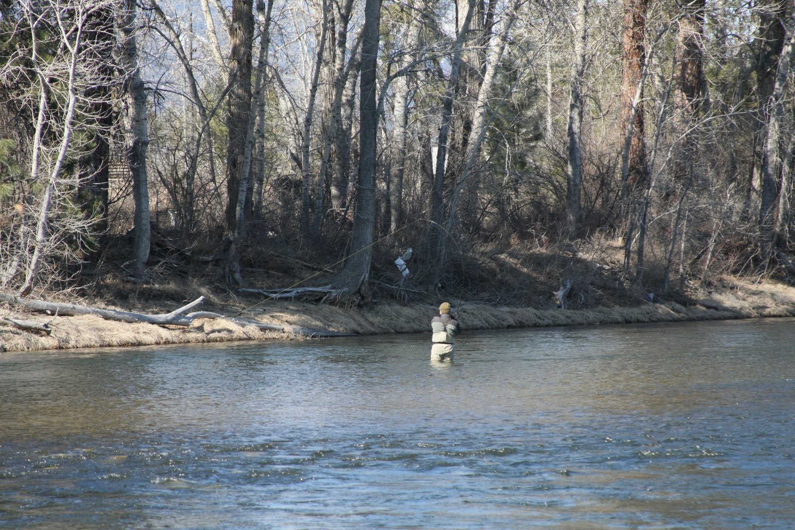 [IMG_9743.JPG]