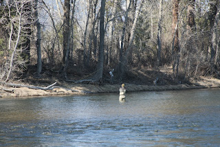 Wader at Stevensville Access on the Bitterroot River