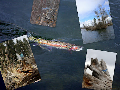 Fly Fishing the Bitterroot April 2, 2009 – Cool but good fishing
