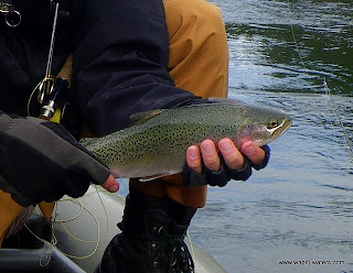 Fly Fishing in Oct – Peter and Chris on the Bitterroot and Clark Fork