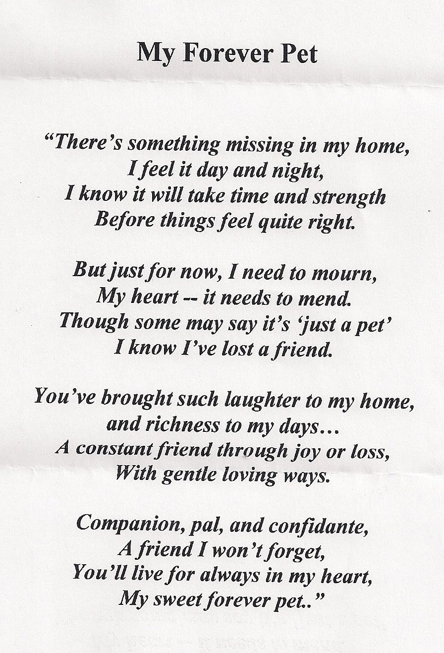 Displaying 19 Gt Images For Happy Birthday Dad In Heaven Poems