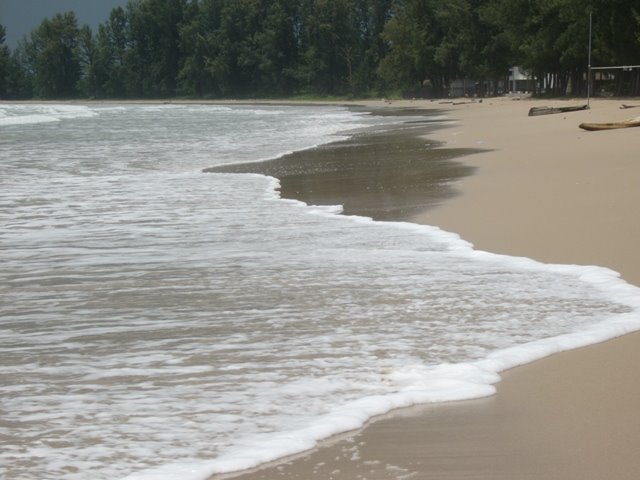 [P1240813.JPG]