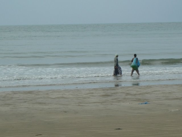 [P1240733.JPG]