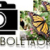 Fotos