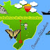 As Borboletas de Santa Catarina