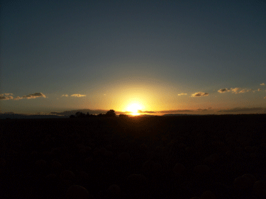 [sunset2.gif]