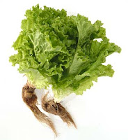 Encuentran residuos de plaguicidas en vegetales expuestos en el mercado - Bolivia informa Plaguicidas en Bolivia