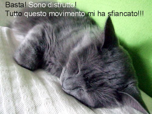 [TOPO2.PNG]
