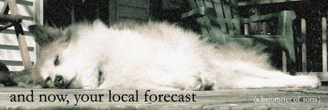 and now, your local forecast