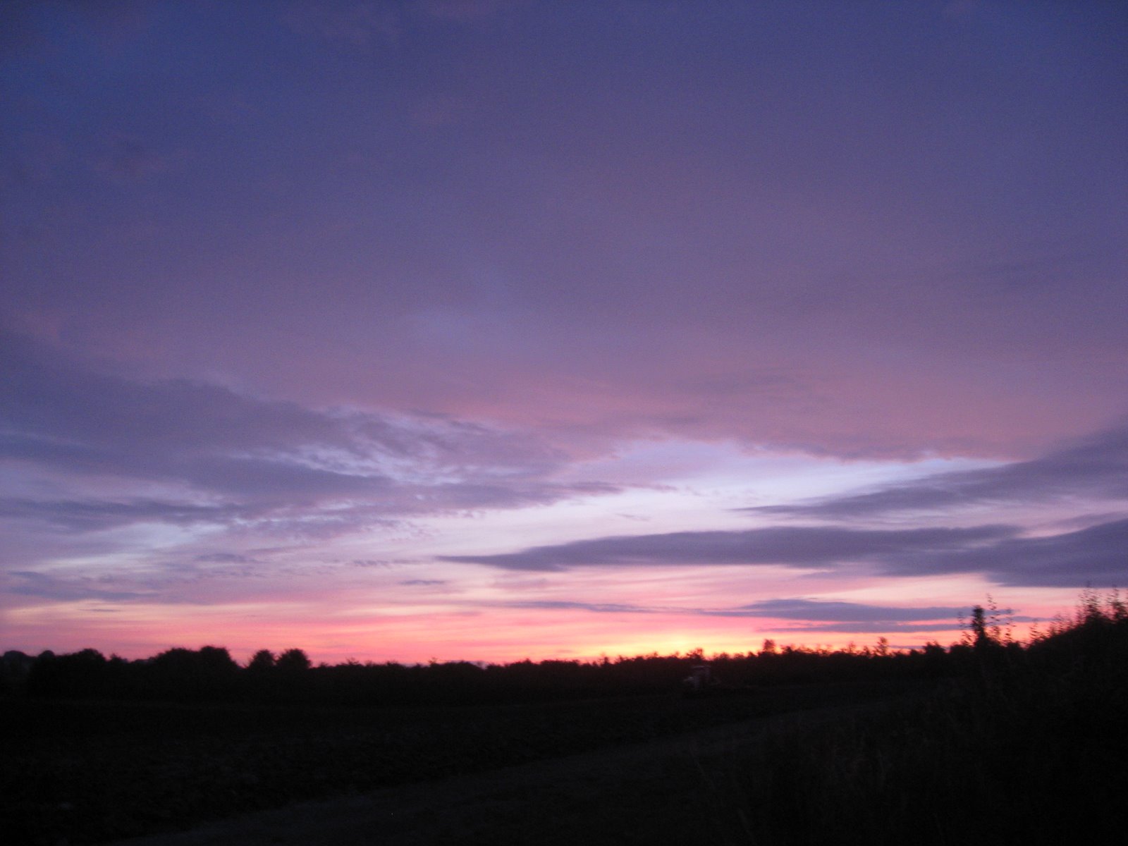 [IMG_5098.JPG]