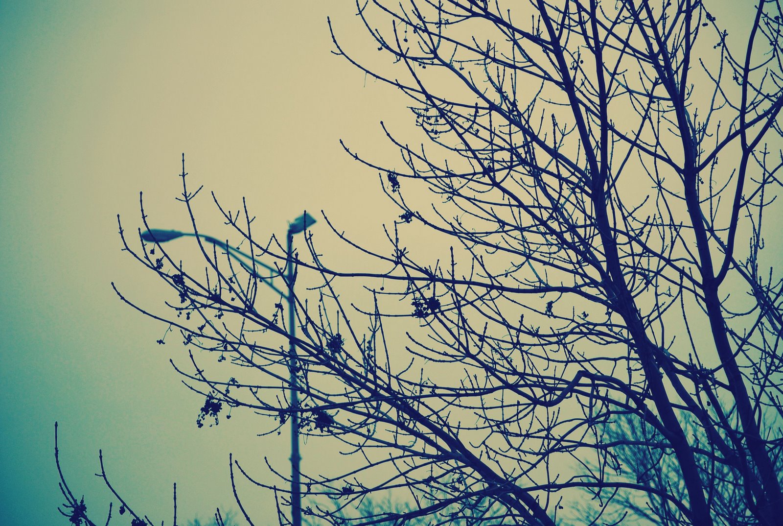 [DSC_0390.jpg]