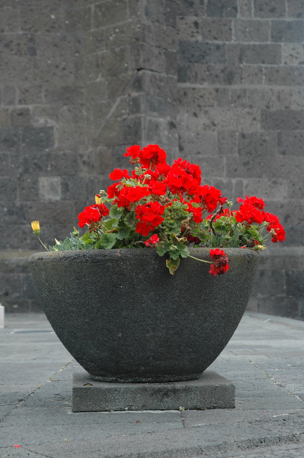 [DSC_0230.JPG]