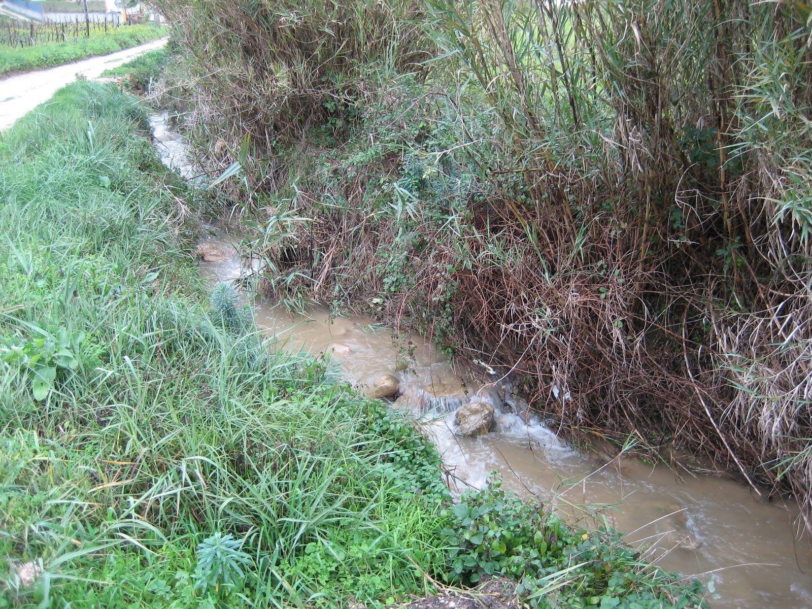 [IMG_1142.JPG]