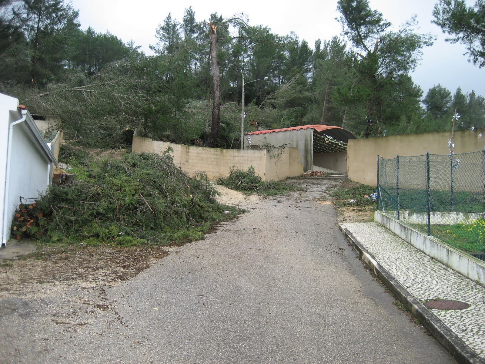 [IMG_1126.JPG]