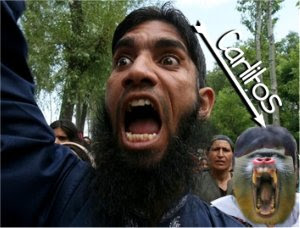 Carlitos y su gran amor y ejemplo, The Islamic Rage Boy