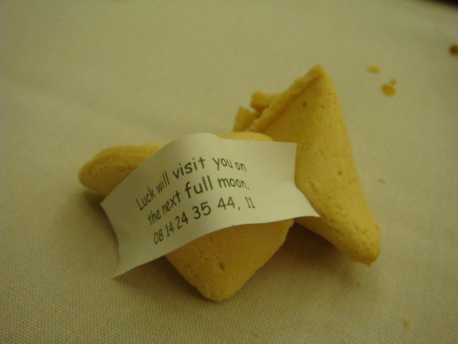 [DSC00975.JPG]