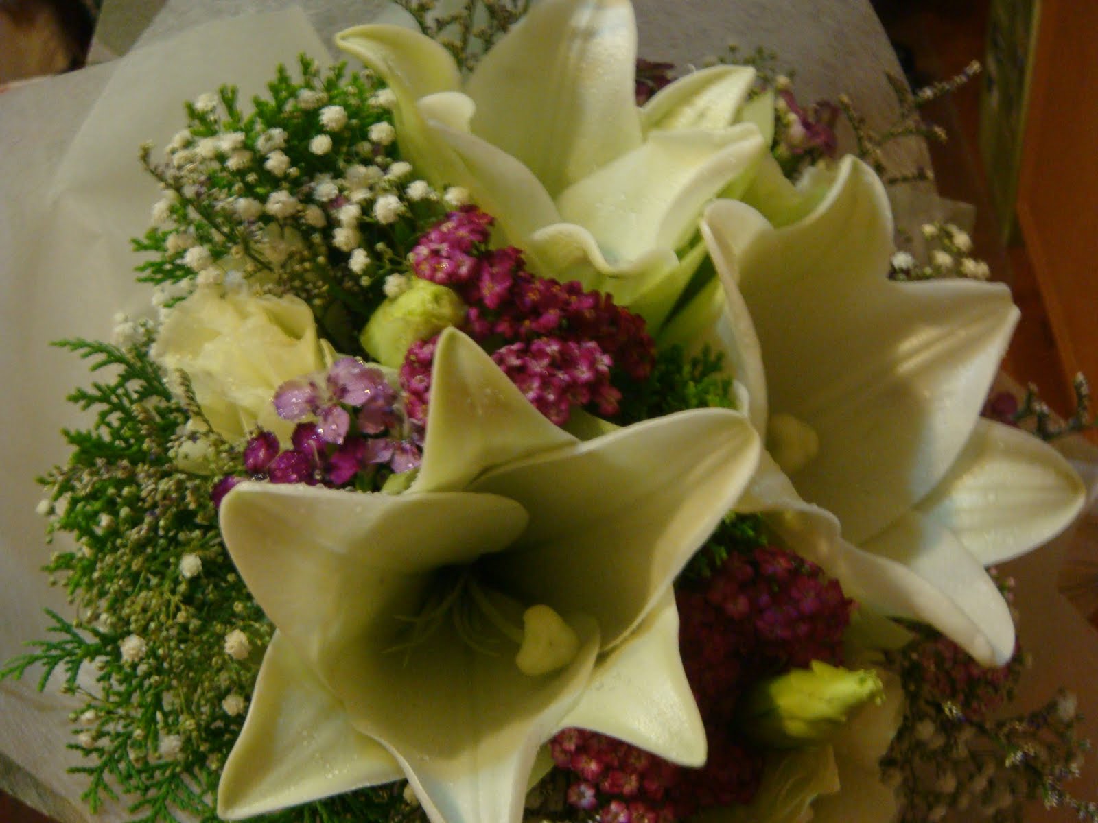 [DSC02305.JPG]