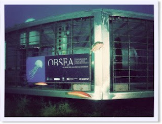 OBSEA