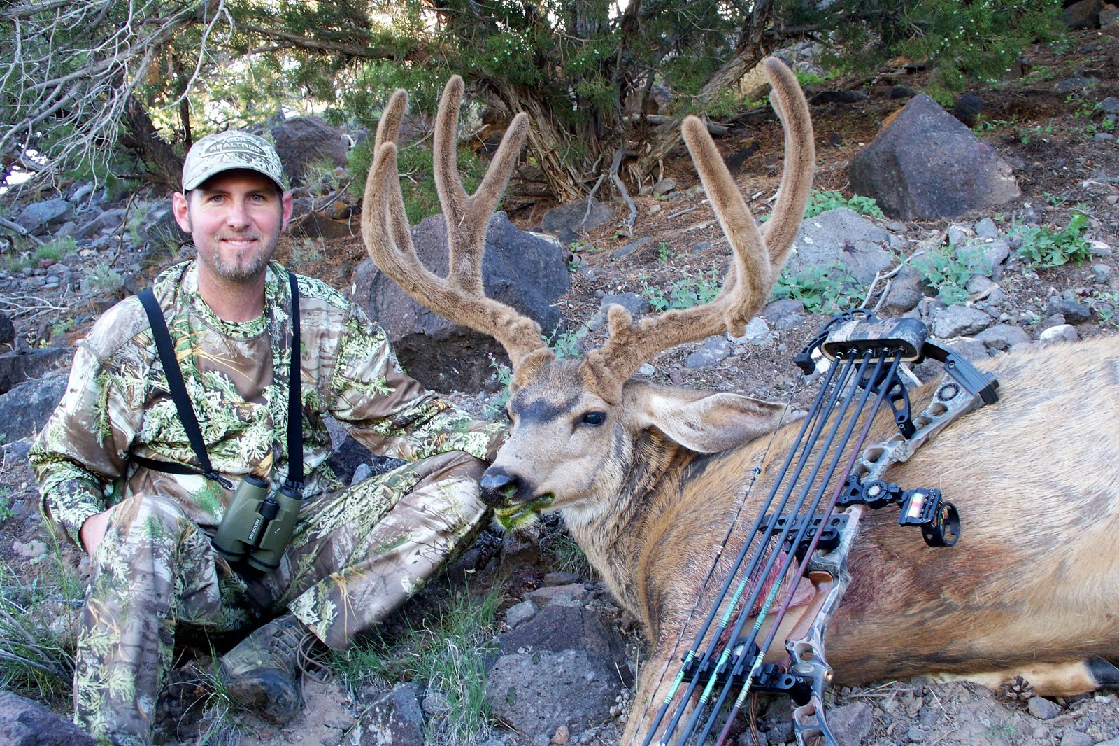 The Ulmer Broadhead?????? Archery Talk Forum