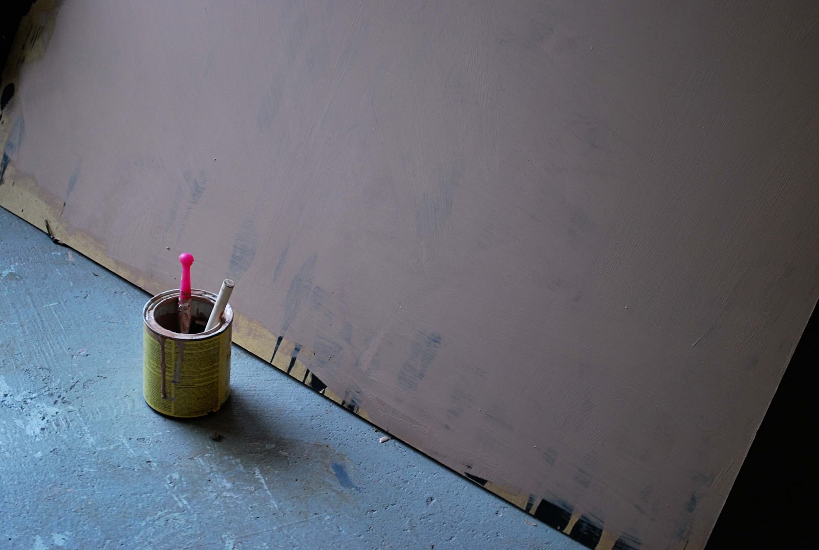 Can You Paint Eucaboard Can You Paint Eucaboard