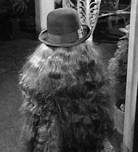 Cousin Itt