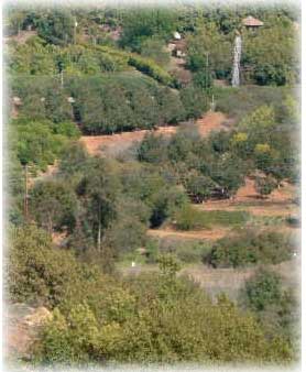 [farm+overview.jpg]