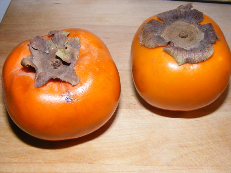 [fuyu+persimmon.jpg]