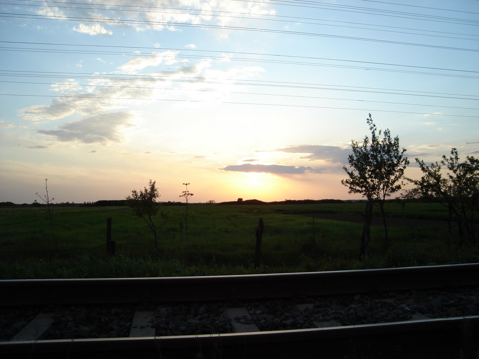 [DSC02517.JPG]