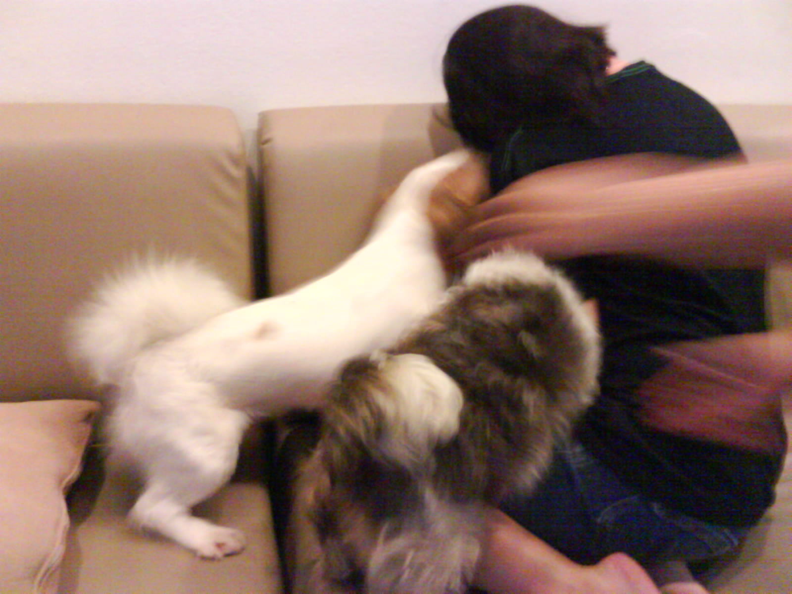 [DSC08475.JPG]