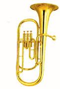 [tenorhorn.jpg]