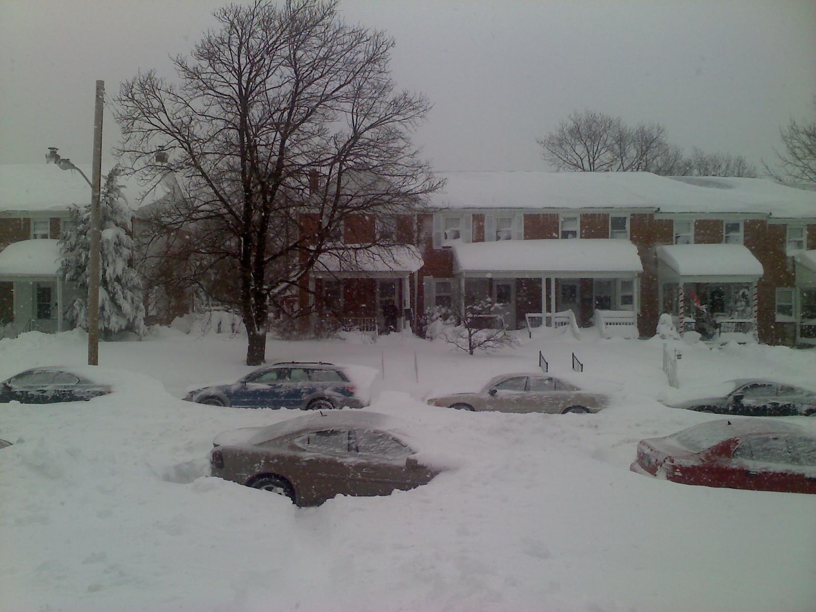 [blizzard+of+2010#2.jpg]