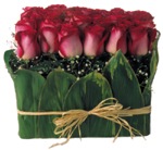 [13rosas.jpg]