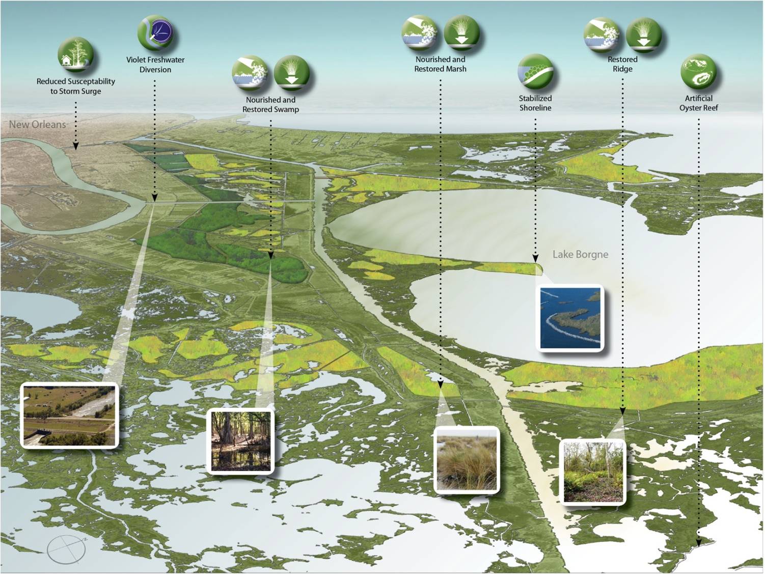 River ecosystem pdf