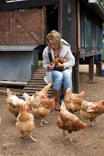 The Chooks at Rahamin