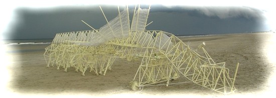 strandbeesttop.jpg (550×197)