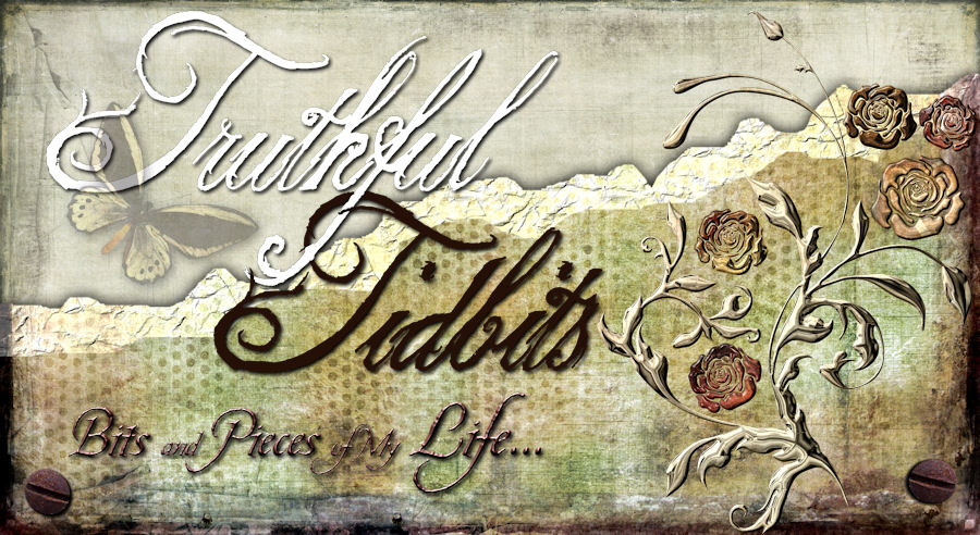 Truthful Tidbits - Bits and Pieces of My Life