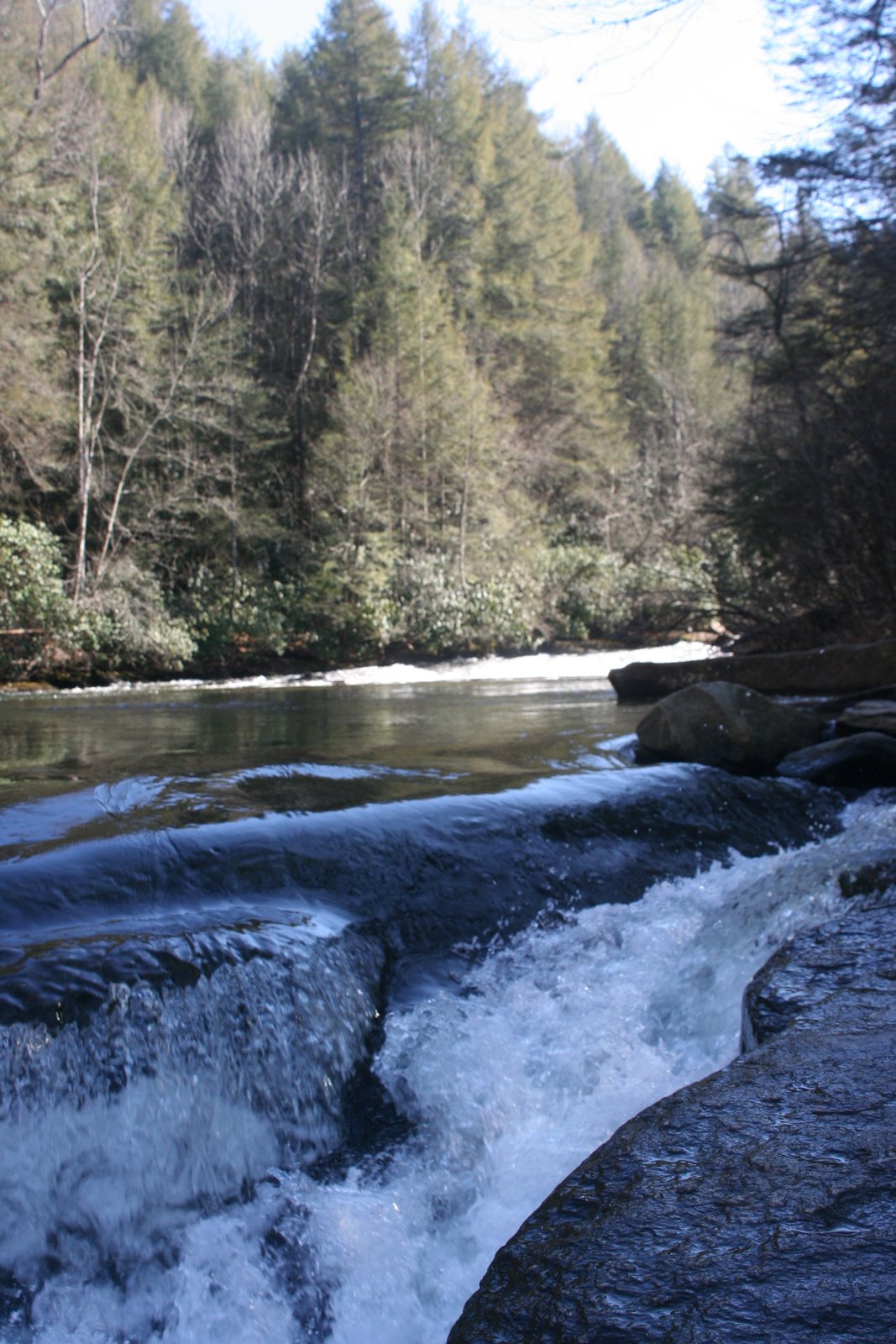 [IMG_2335.JPG]